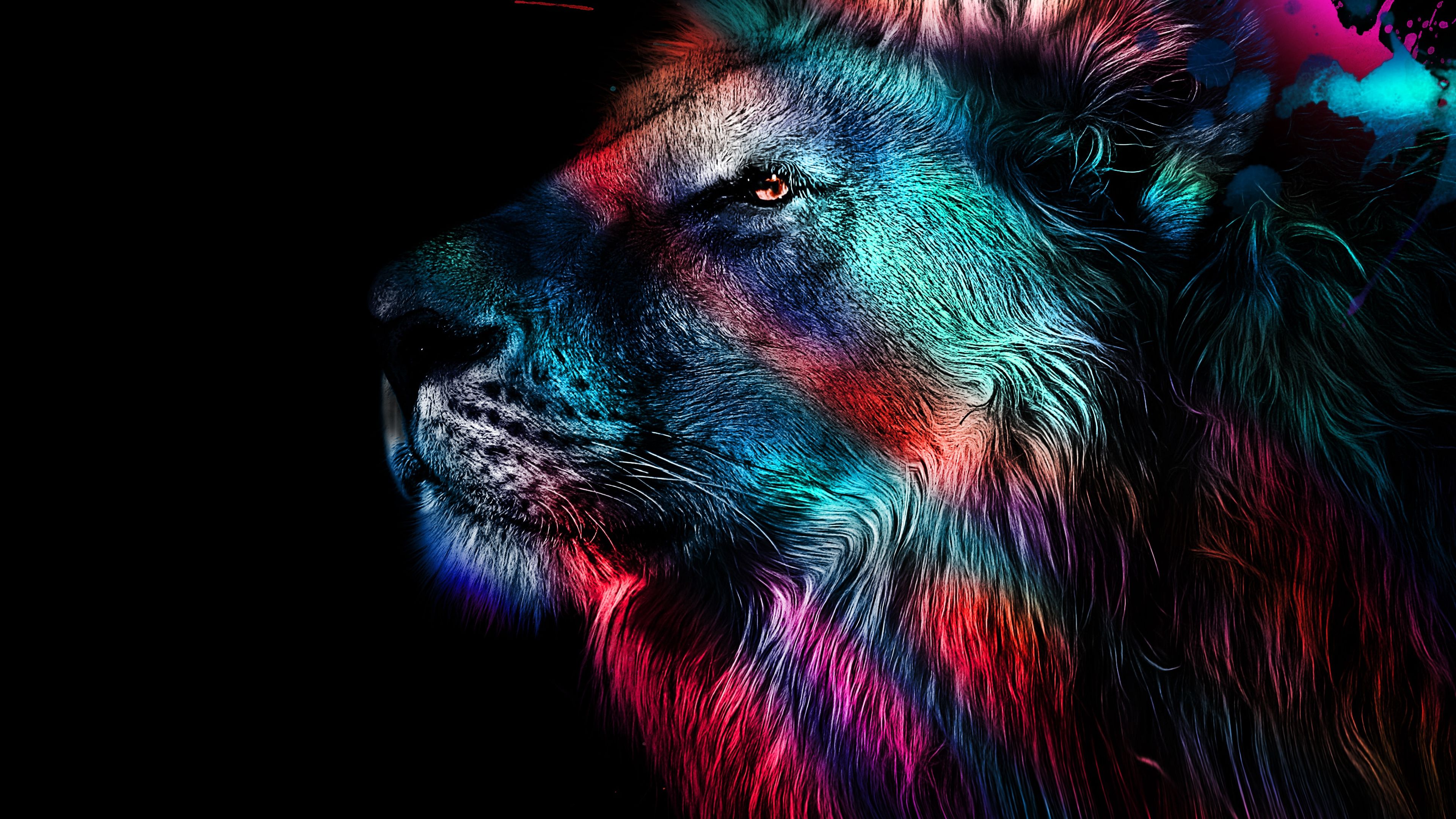 AMOLED Lion Wallpapers - 4k, HD AMOLED Lion Backgrounds on WallpaperBat