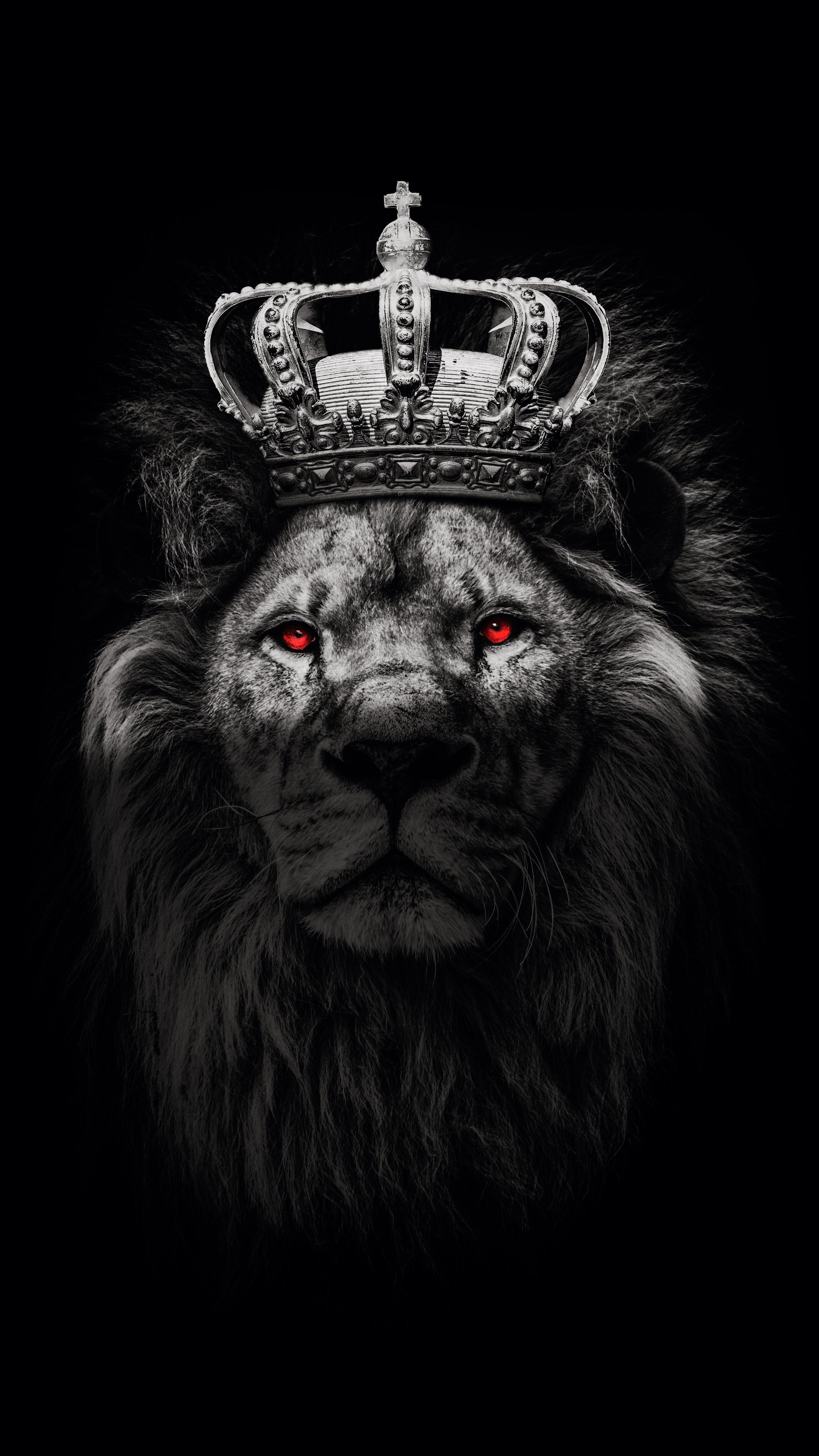 AMOLED Lion Wallpapers - 4k, HD AMOLED Lion Backgrounds on WallpaperBat