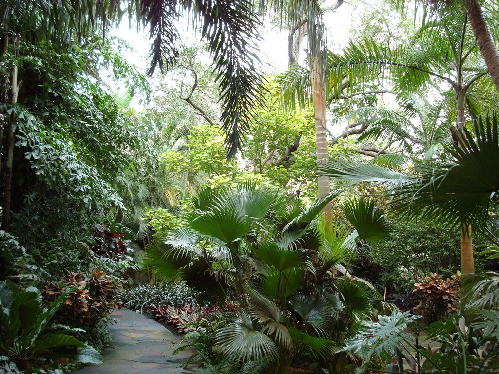 Tropical Garden Wallpapers - 4k, Hd Tropical Garden Backgrounds On 