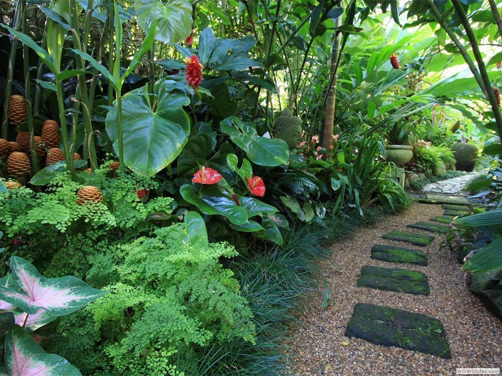 Tropical Garden Wallpapers - 4k, HD Tropical Garden Backgrounds on ...