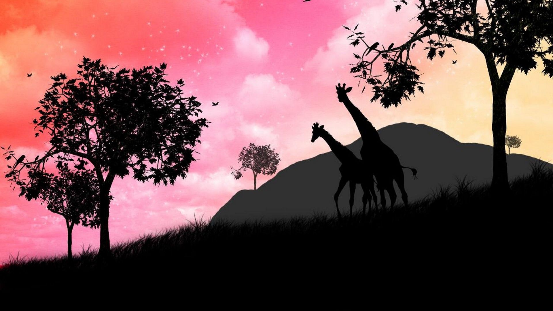 1920x1080 Giraffe Wallpaper For Walls | 2020 Live Wallpaper HD Wallpaper