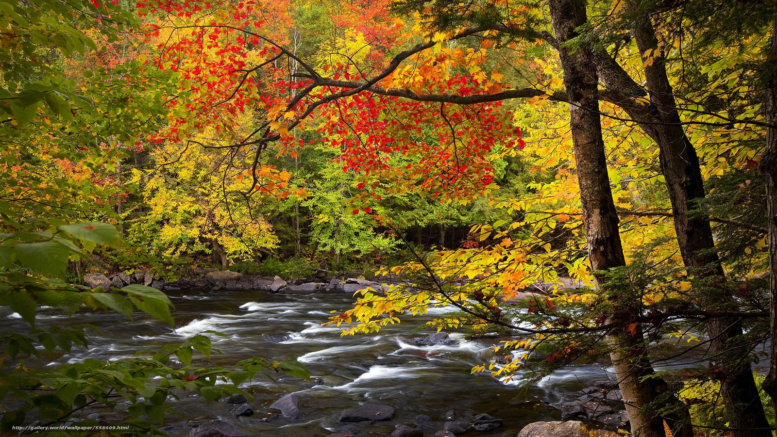 Fall Autumn River Desktop Wallpapers 4k Hd Fall Autumn River Desktop