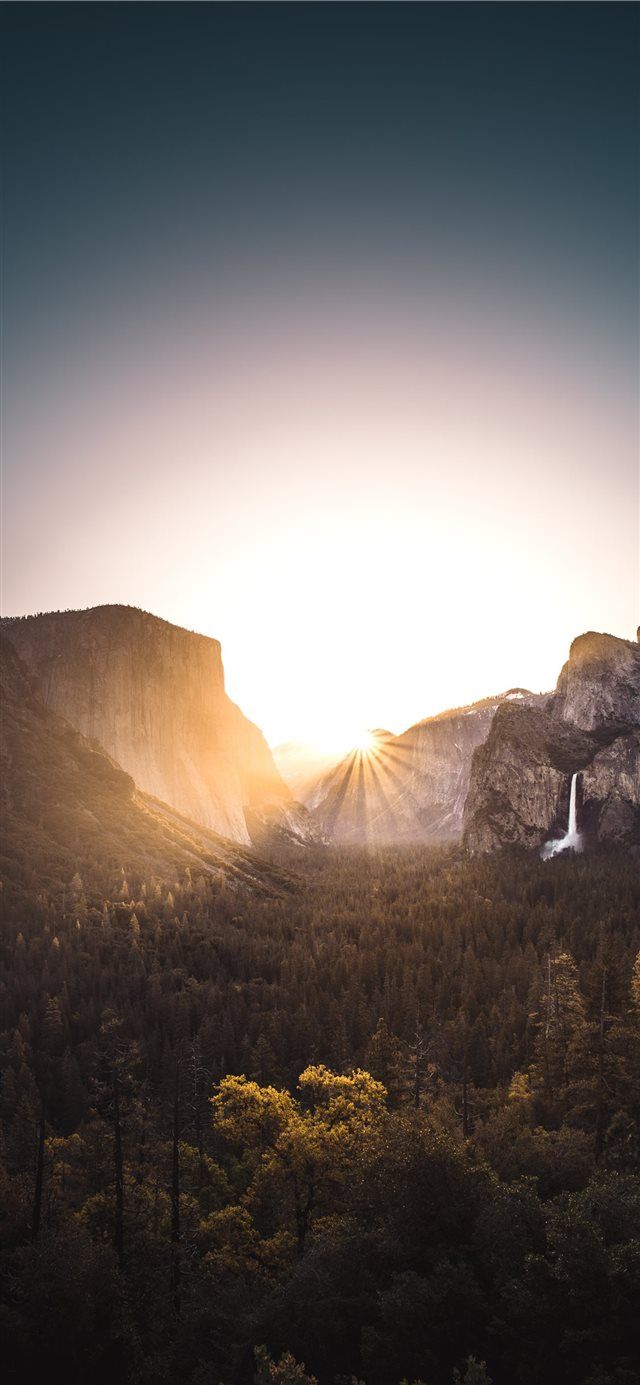 640x1385 gray mountain surrounded with trees during sunrise iPhone X Wallpaper Free Download on WallpaperBat