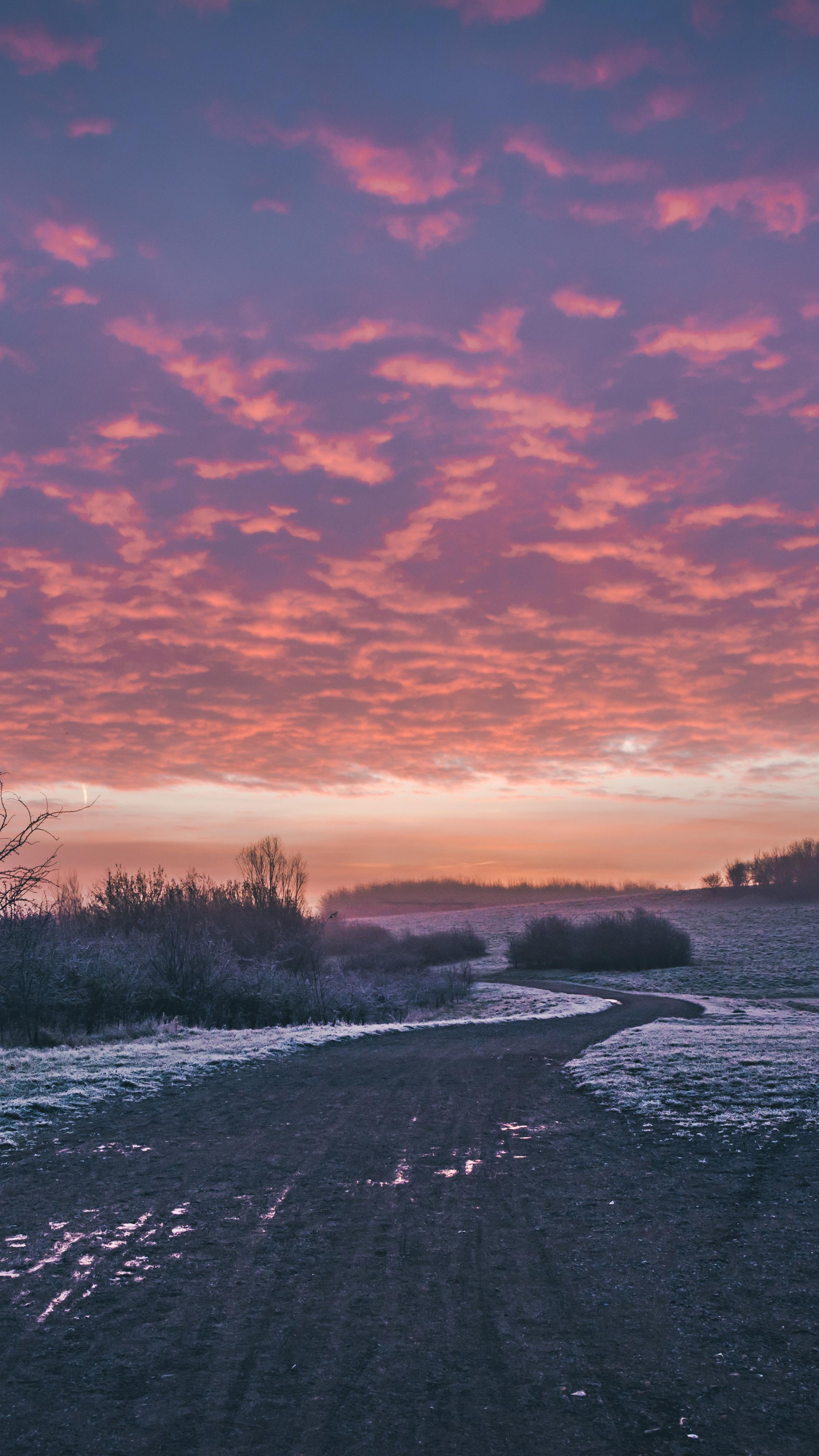 2250x4000 Frosty sunrise under the glowing sky. iPhone X Wallpaper - iPhone X Wallpaper HD on WallpaperBat