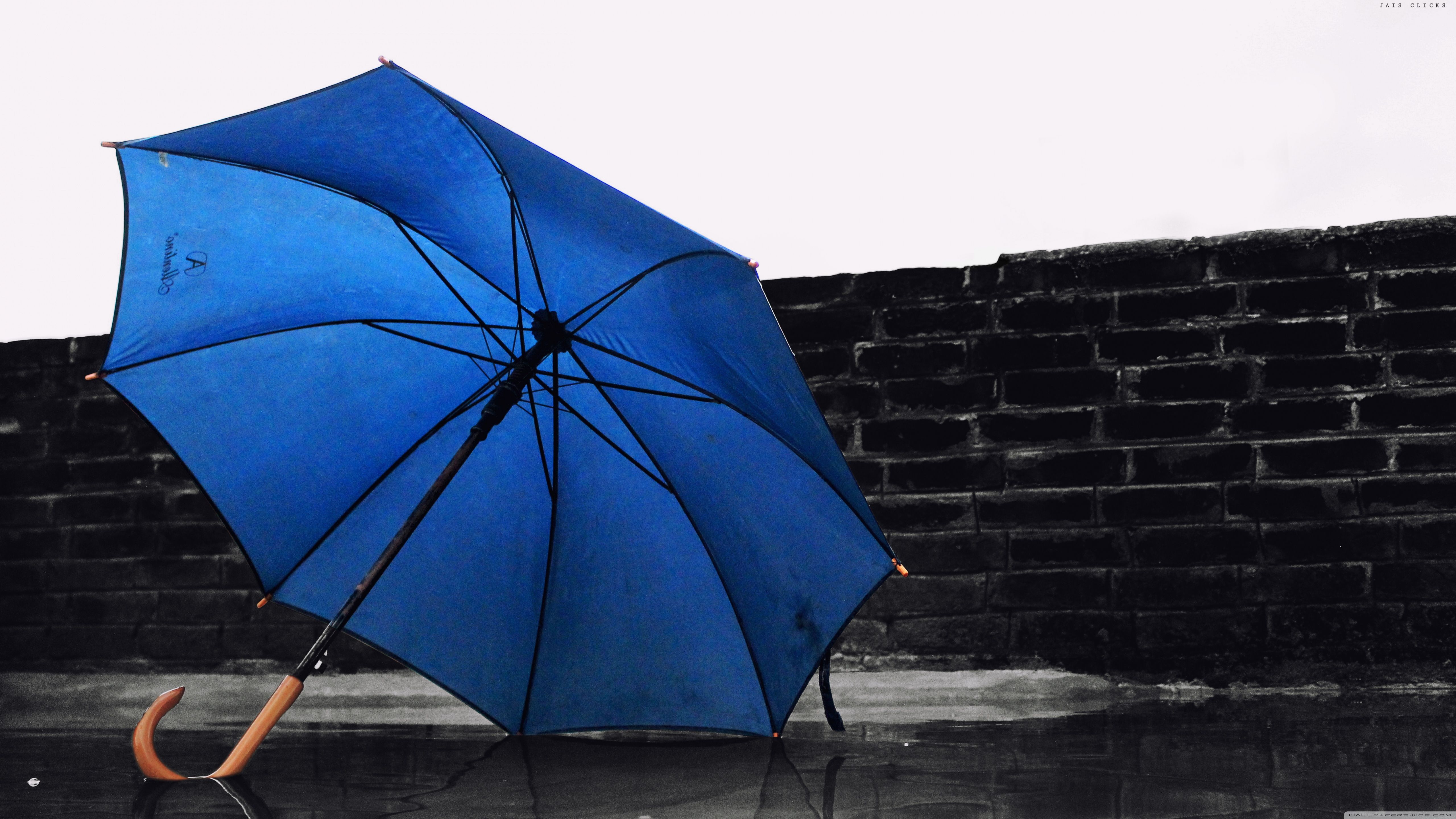 Umbrella Wallpapers - 4k, HD Umbrella Backgrounds on WallpaperBat