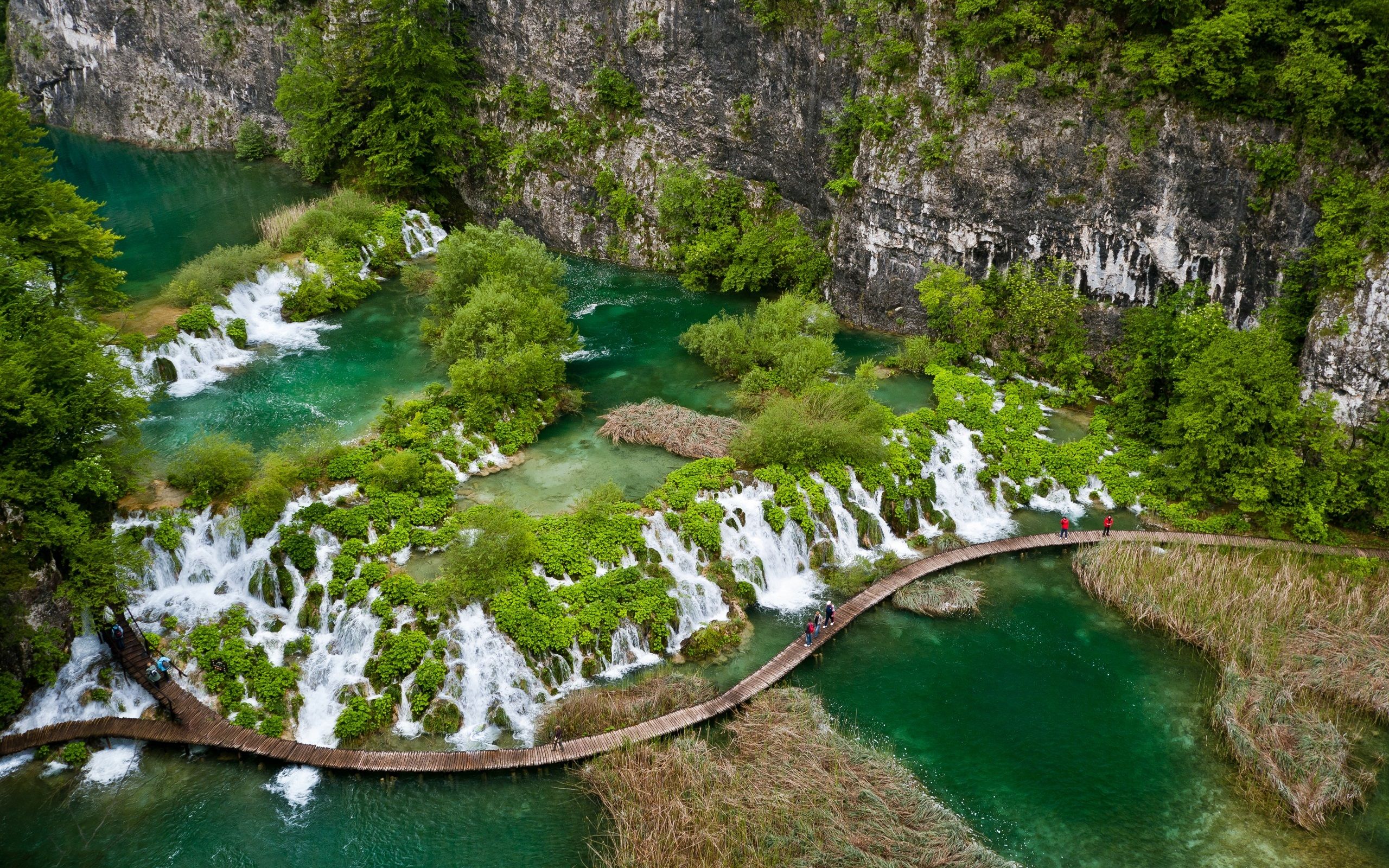 Tropical Bridges Wallpapers - 4k, HD Tropical Bridges Backgrounds on ...