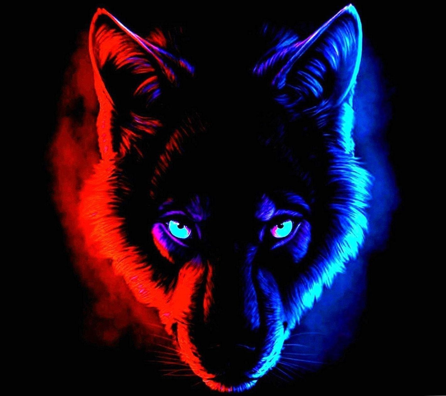 Black Wolf 3d Wallpaper Image Num 23