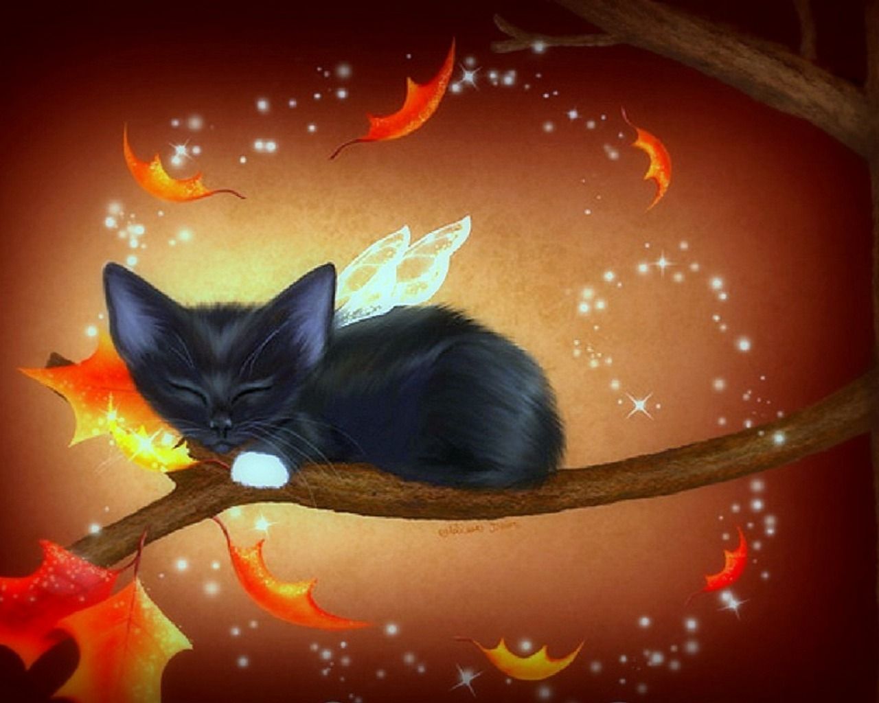 Autumn Cat Wallpapers - 4k, HD Autumn Cat Backgrounds on WallpaperBat