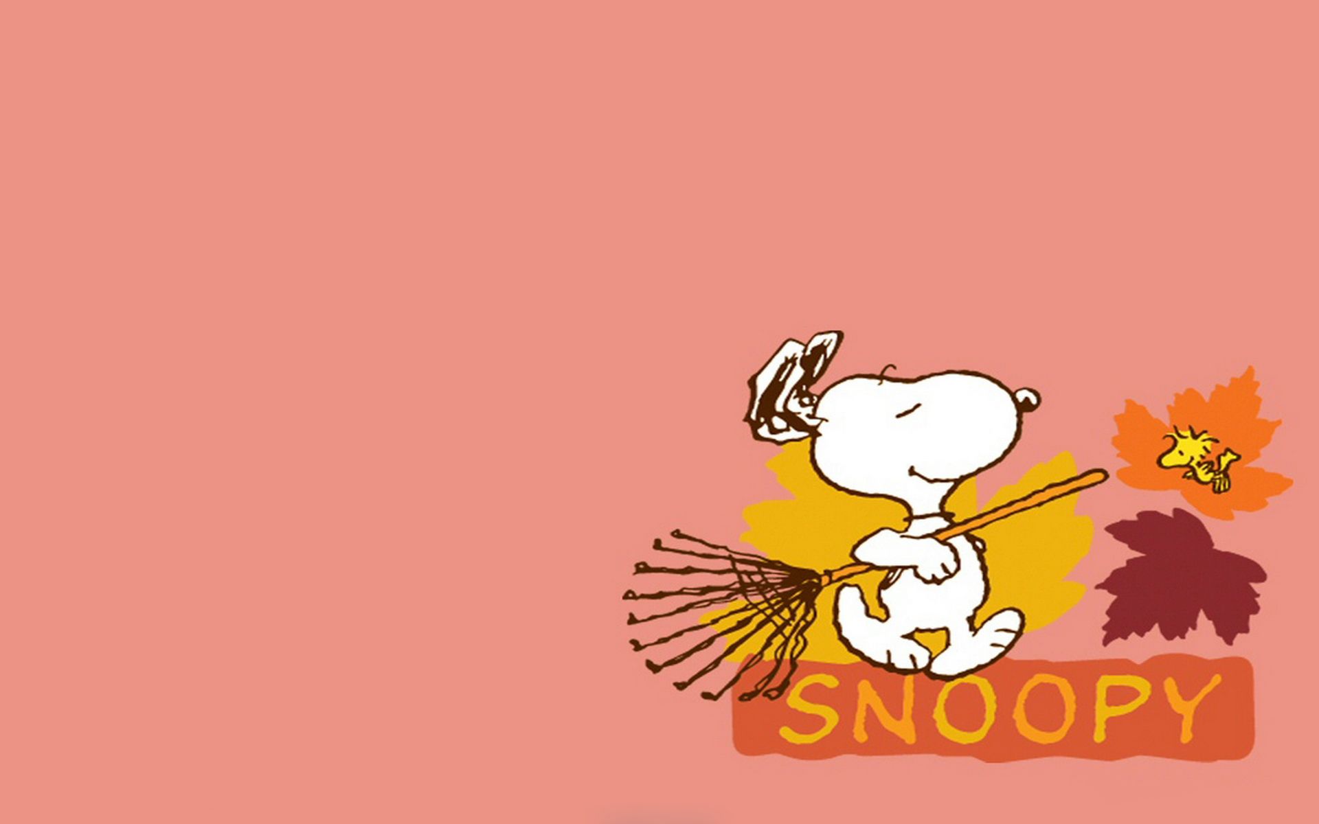 1920x1200 Snoopy Background.