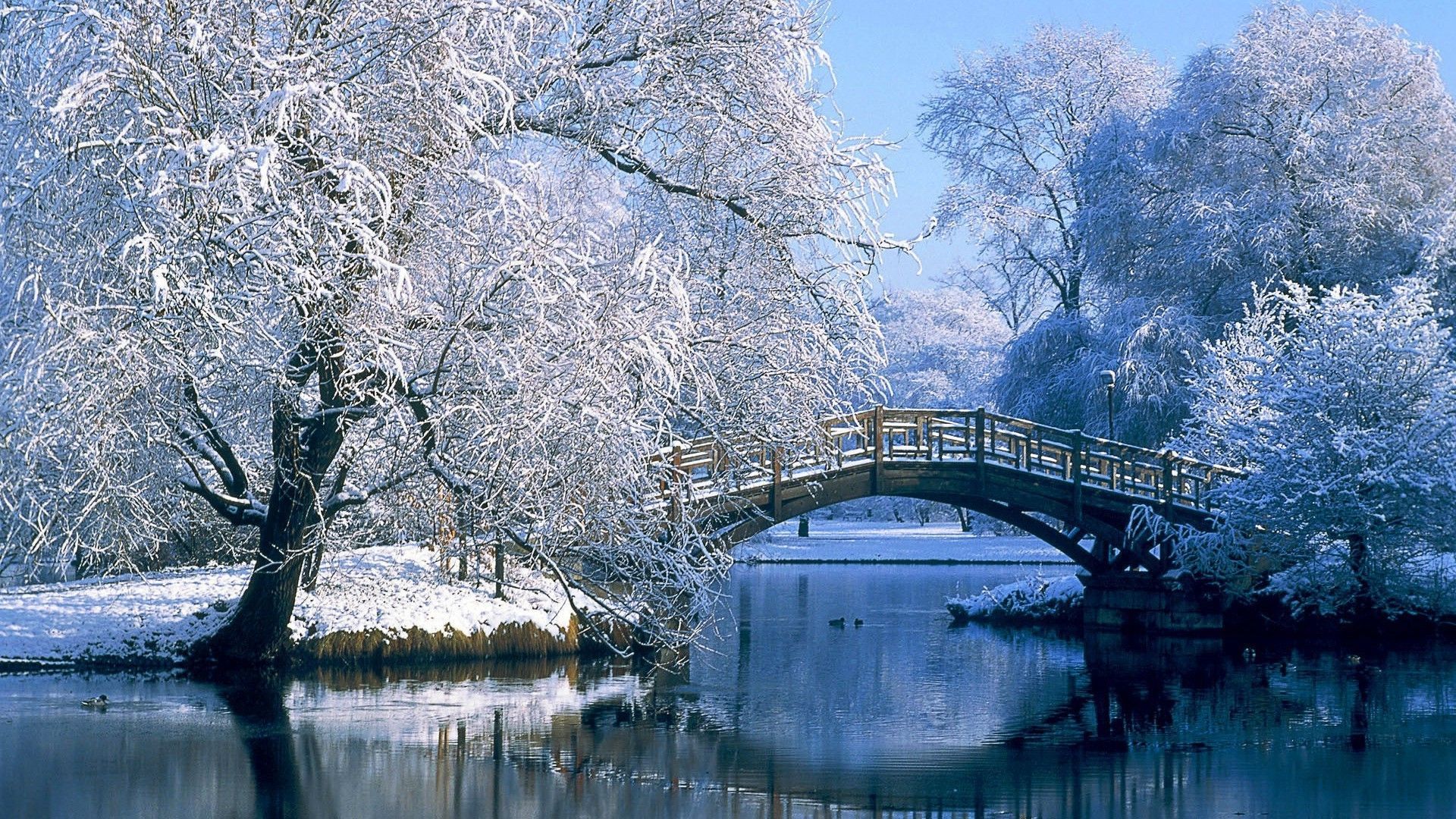 Snow Bridge Wallpapers - 4k, HD Snow Bridge Backgrounds on WallpaperBat