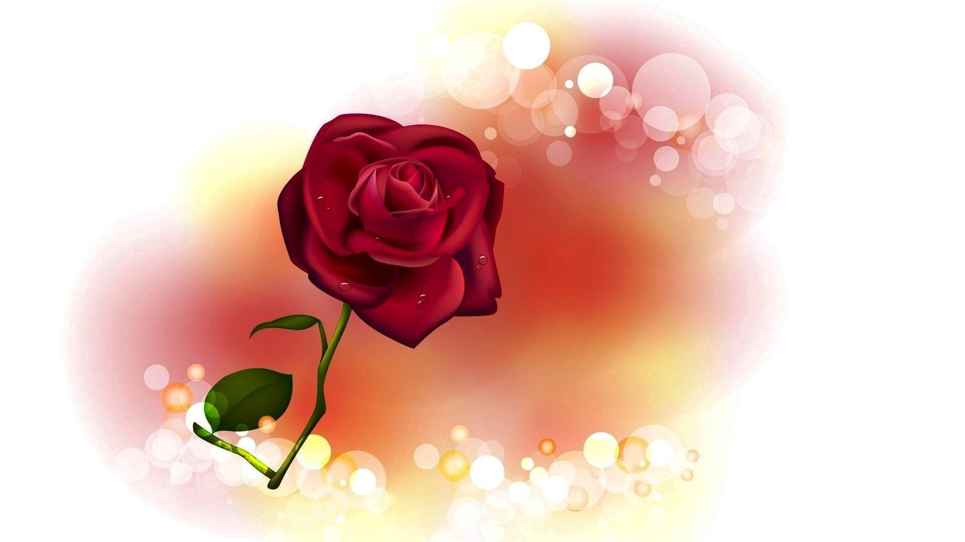 Red Roses Valentines Wallpapers - 4k, HD Red Roses Valentines