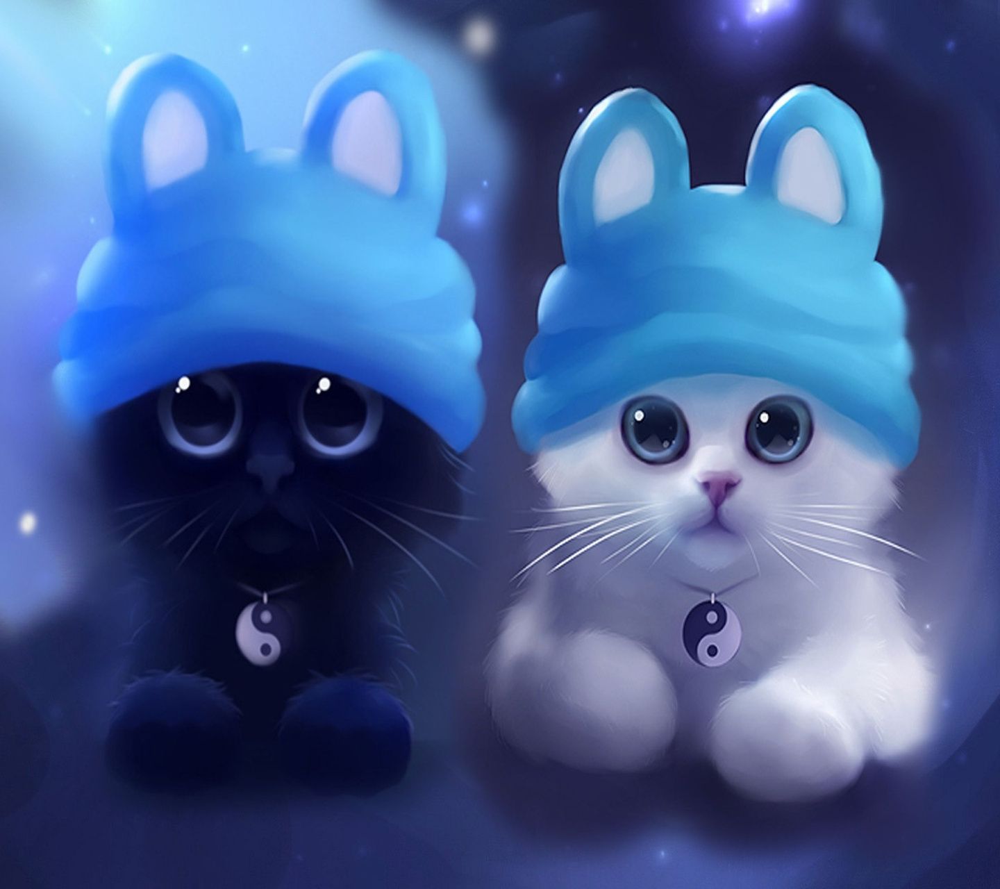 Love Cats Wallpapers 4k, HD Love Cats Backgrounds on WallpaperBat