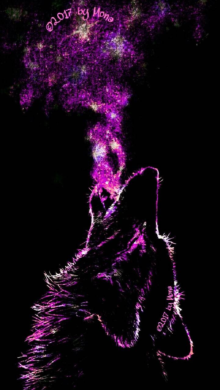 Pink Wolf Wallpapers - 4k, HD Pink Wolf Backgrounds on WallpaperBat