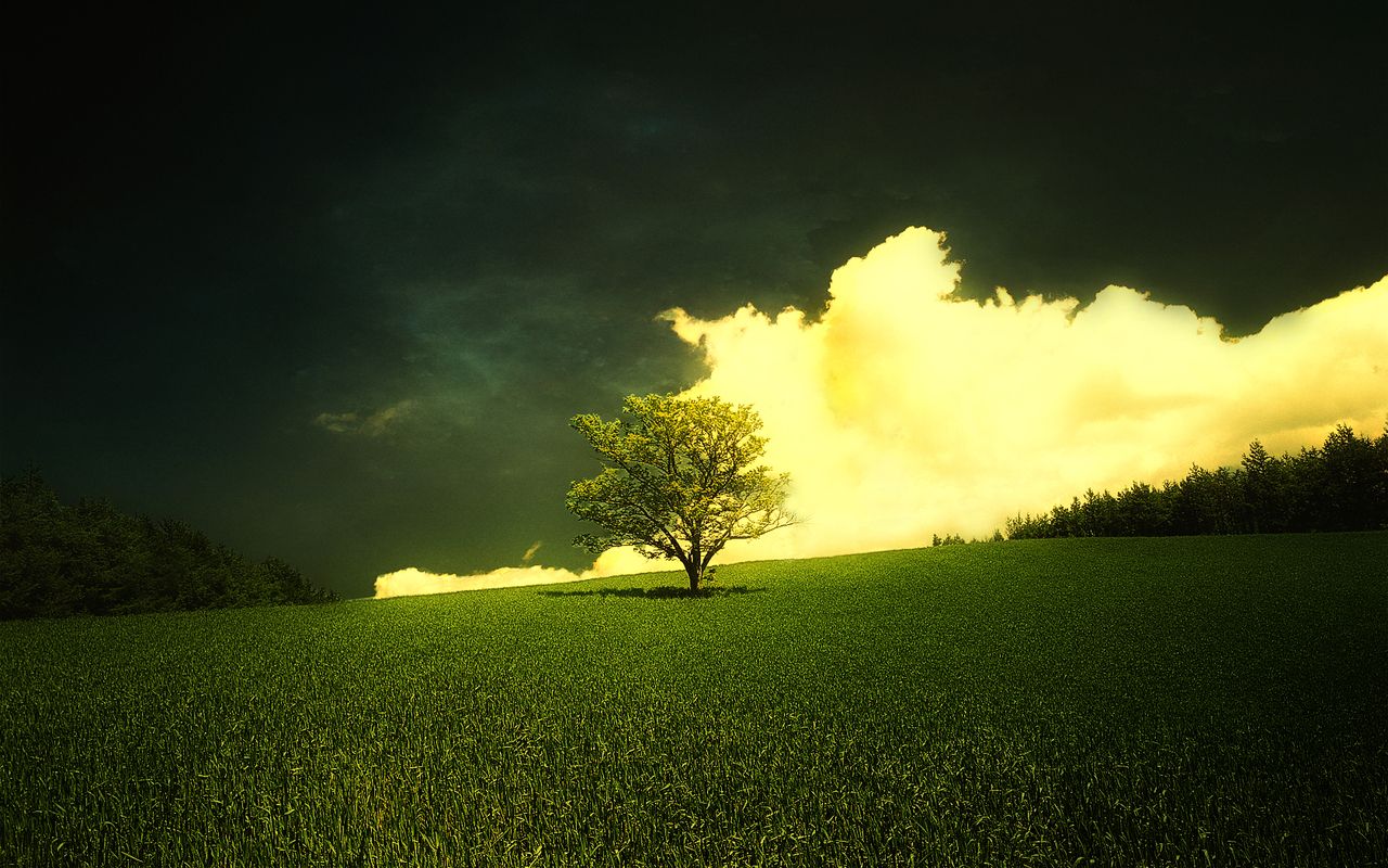 Lonely Landscape Wallpapers - 4k, HD Lonely Landscape Backgrounds on ...