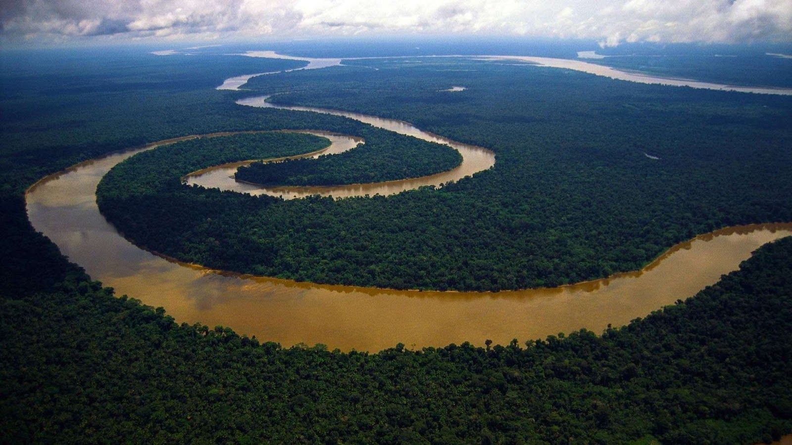 Amazon River Wallpapers - 4k, HD Amazon River Backgrounds on WallpaperBat