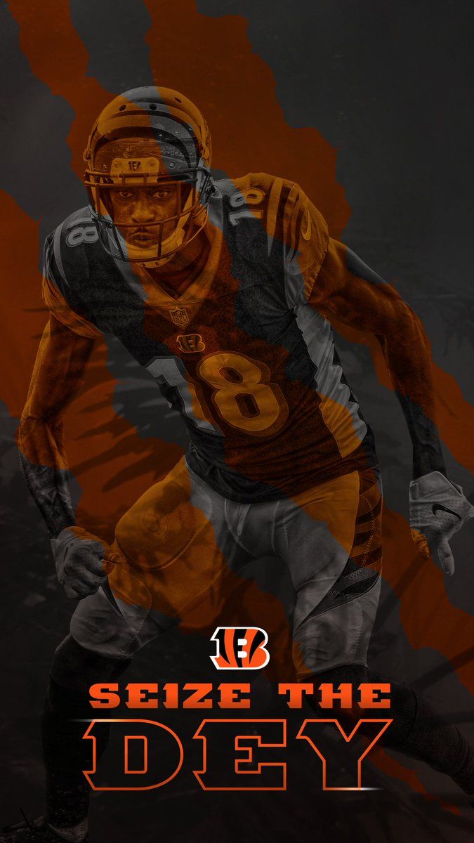 Bengals Wallpapers - 4k, HD Bengals Backgrounds On WallpaperBat