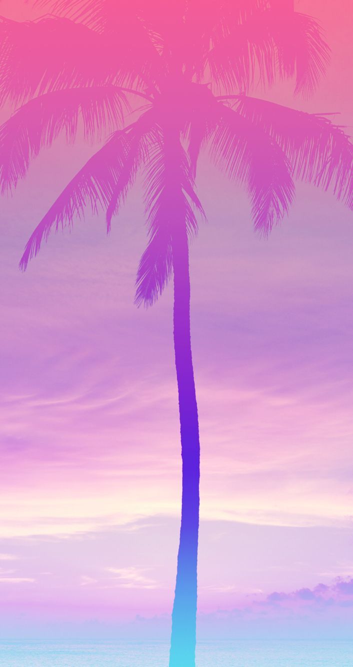 Pink Palm Tree Phone Wallpapers - 4k, HD Pink Palm Tree Phone