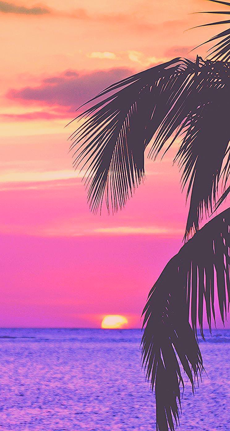Pink Palm Tree Phone Wallpapers - 4k, HD Pink Palm Tree Phone ...