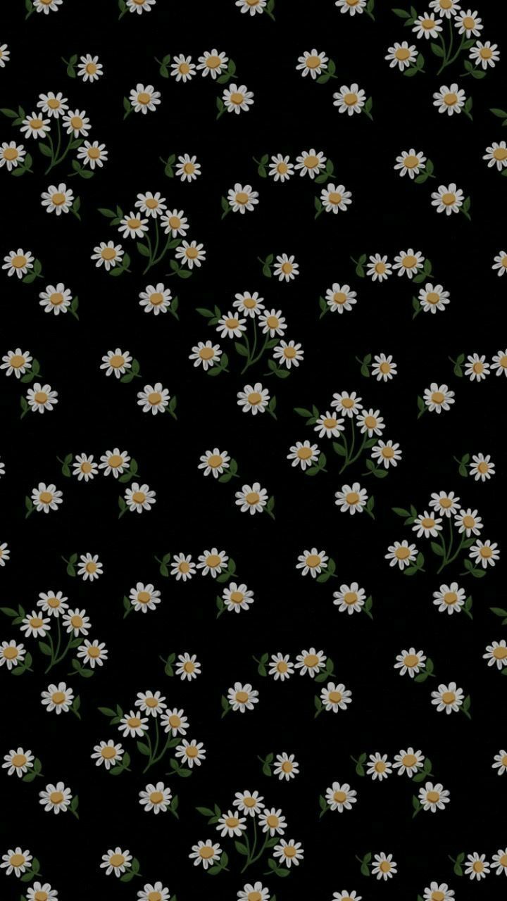 Black Daisy Flower Wallpapers - 4k, HD Black Daisy Flower Backgrounds on WallpaperBat
