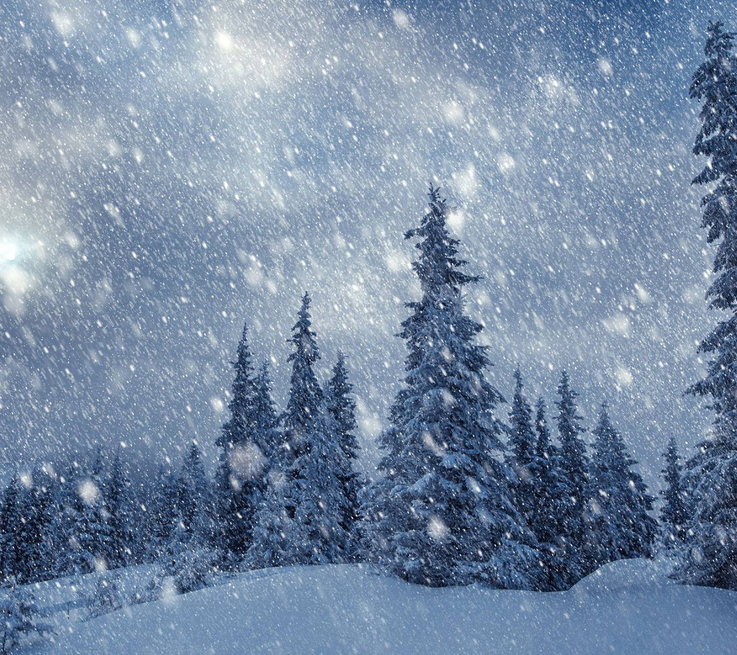 Snowing Wallpapers - 4k, HD Snowing Backgrounds on WallpaperBat