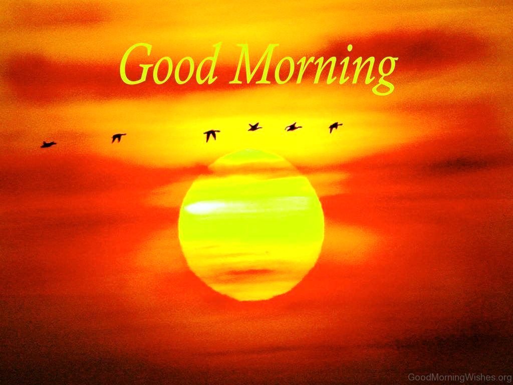 1024x768 Good Morning Sunrise Picture on WallpaperBat