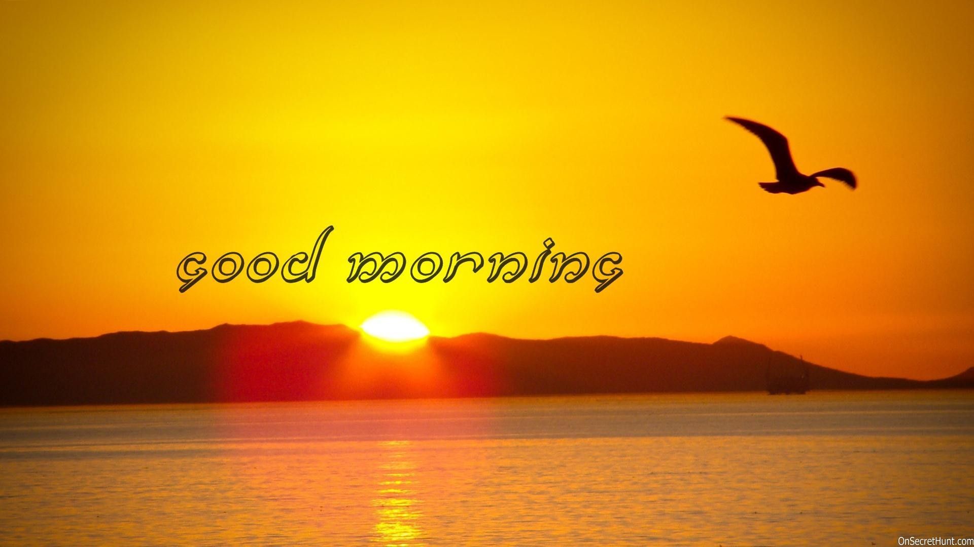 1920x1080 Sun Rising Good Morning Wallpaper. Morning picture, Good morning picture, Good morning sunrise on WallpaperBat