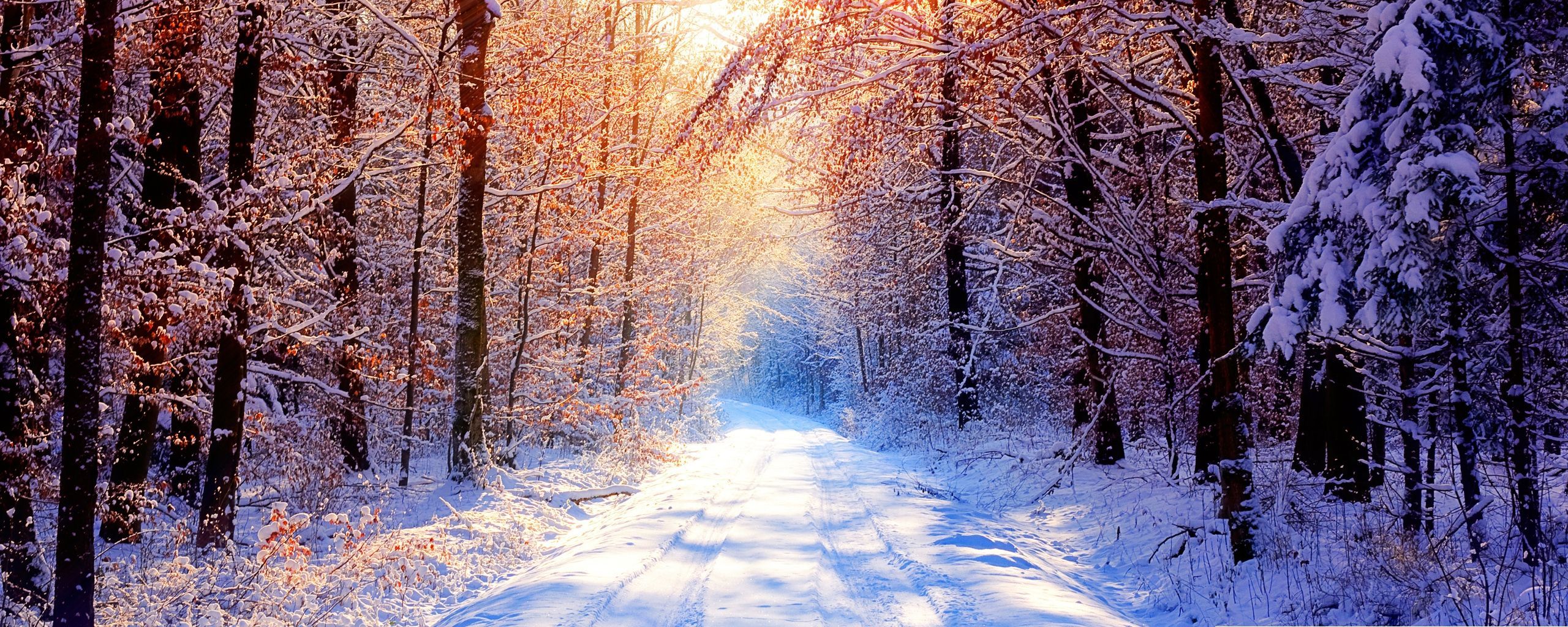 Peaceful Winter Scenes Wallpapers 4k Hd Peaceful Winter Scenes