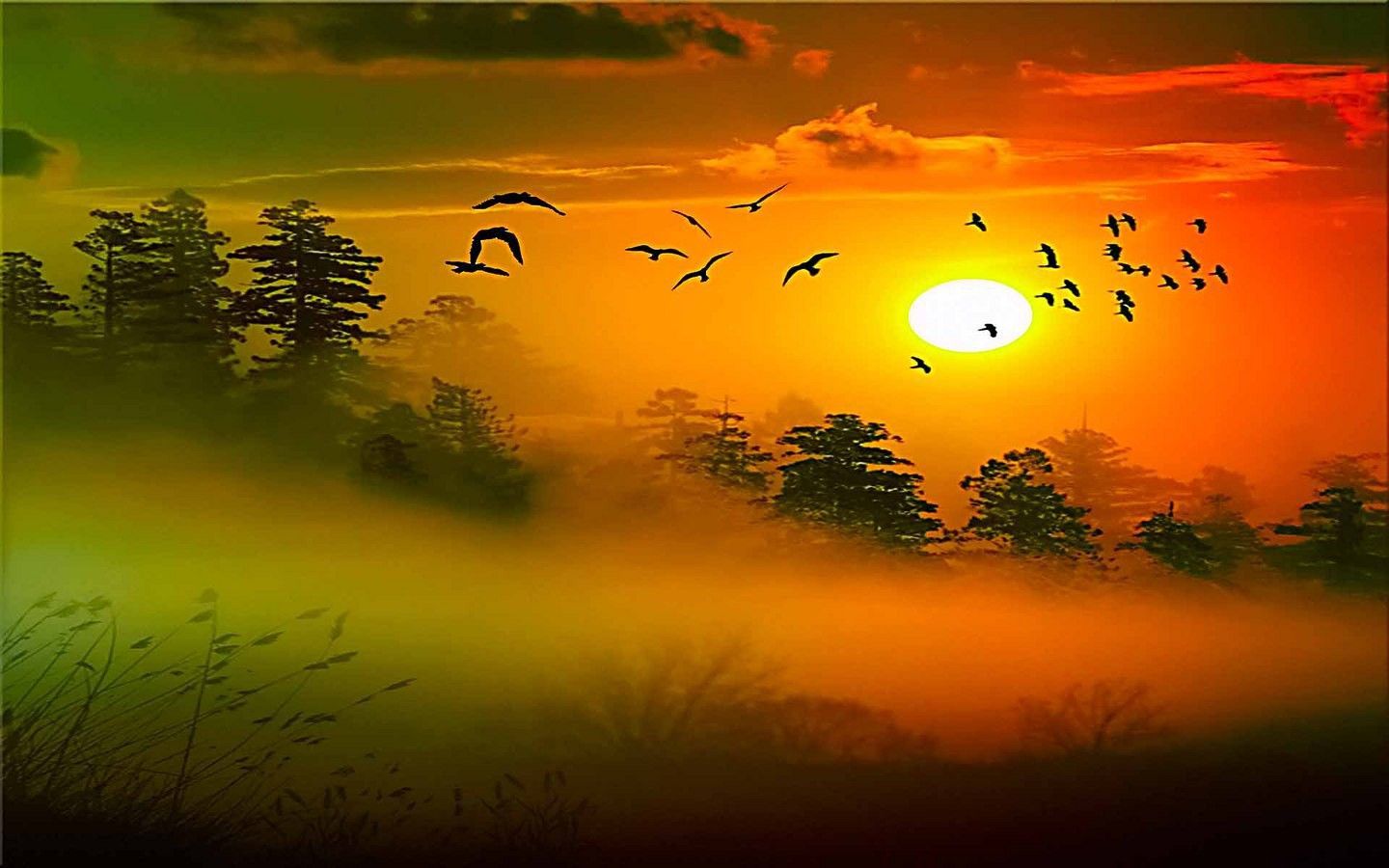 1440x900 Morning Sunshine Wallpaper - Top Free Morning Sunshine Background on WallpaperBat
