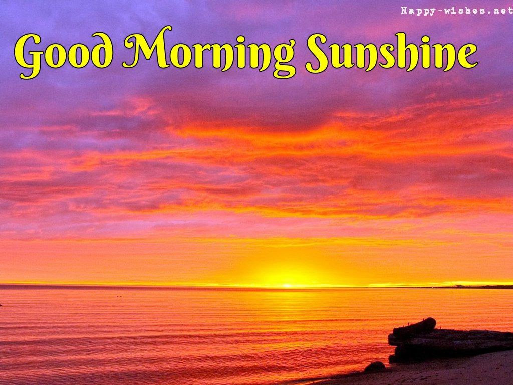 1024x768 Good Morning Sunshine Image on WallpaperBat