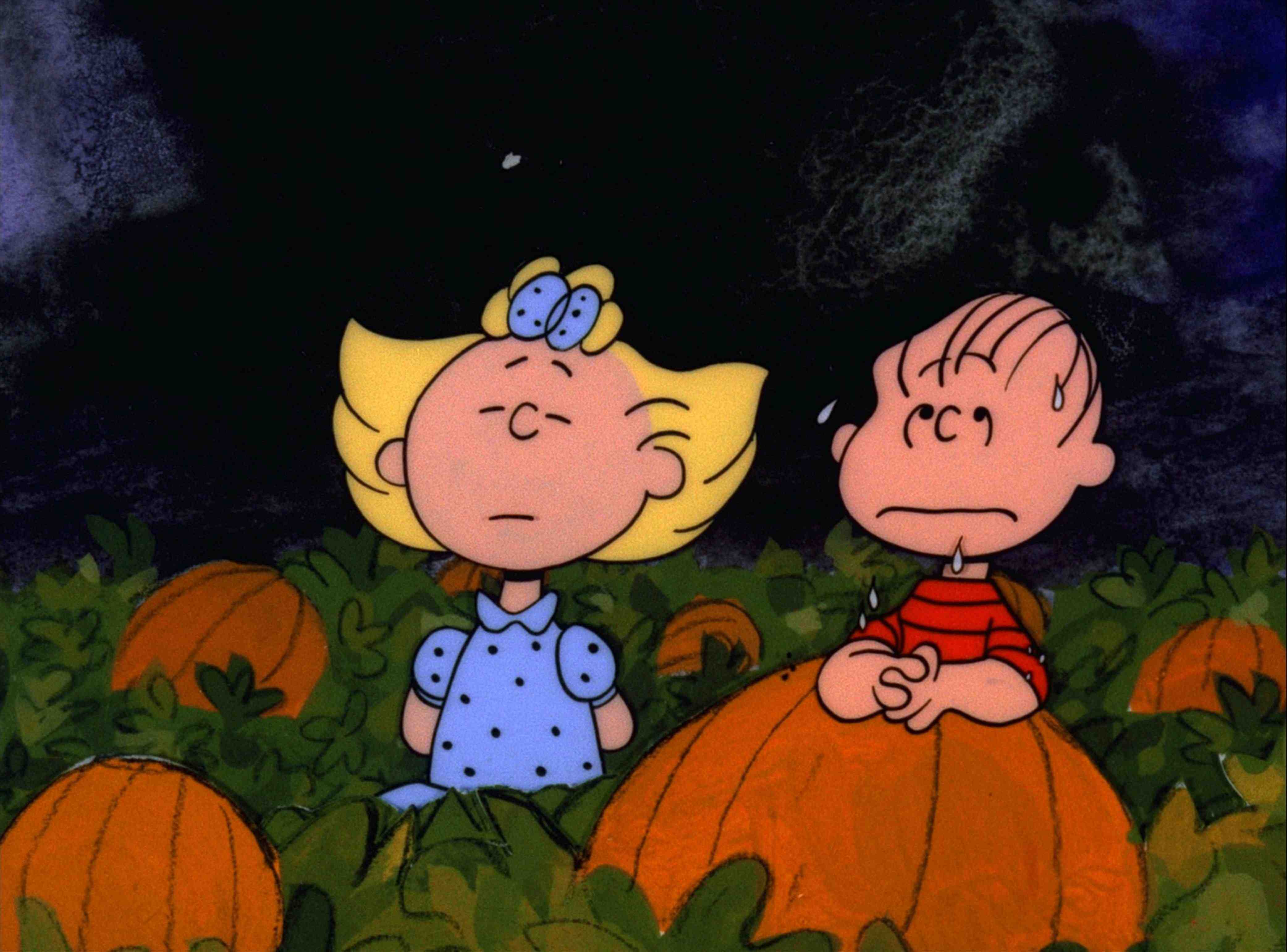 Charlie Brown Halloween Wallpapers - 4k, HD Charlie Brown Halloween