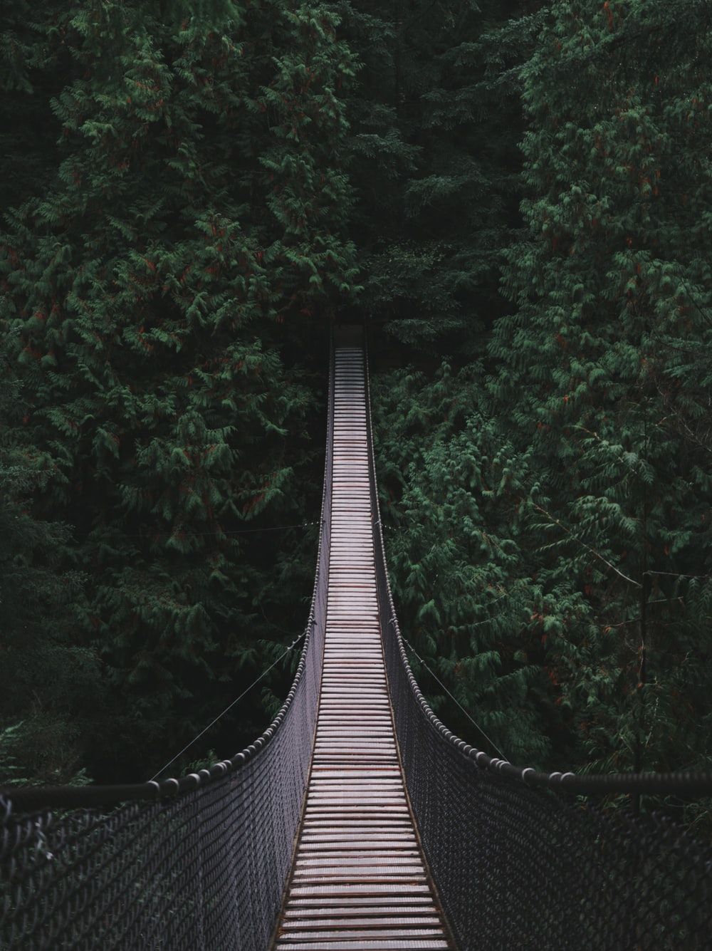 1000x1335 Bridge Pictures | Download Free Images on Unsplash Wallpaper