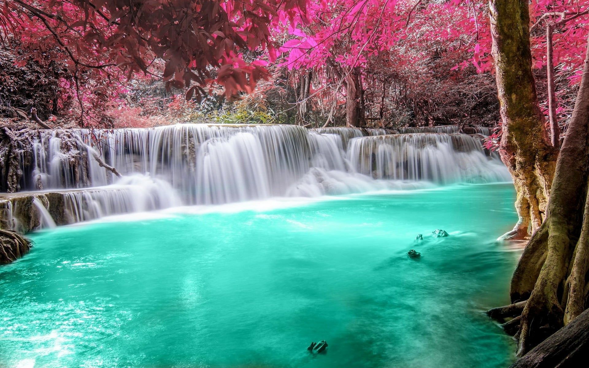 pink waterfall wallpaper