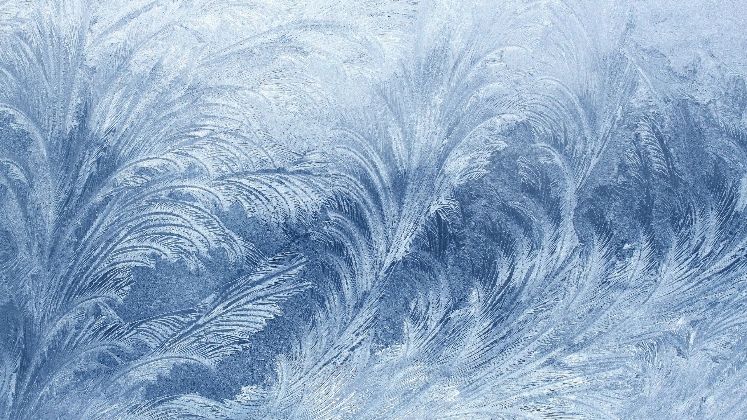 2560x1440 Wallpaper frozen, 4k, 5k wallpaper, pattern, glass, snow, winter, Abstract on WallpaperBat