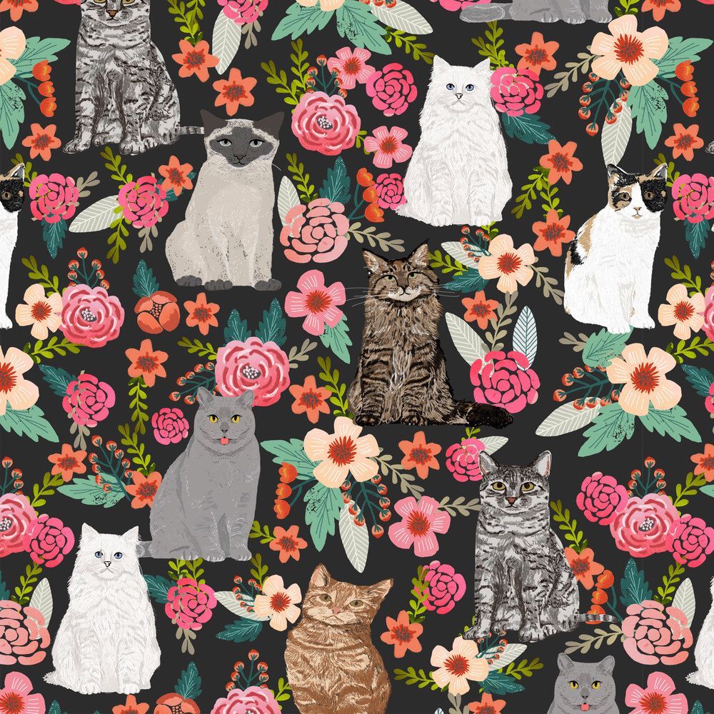 Vintage Cats Wallpapers - 4k, HD Vintage Cats Backgrounds on WallpaperBat