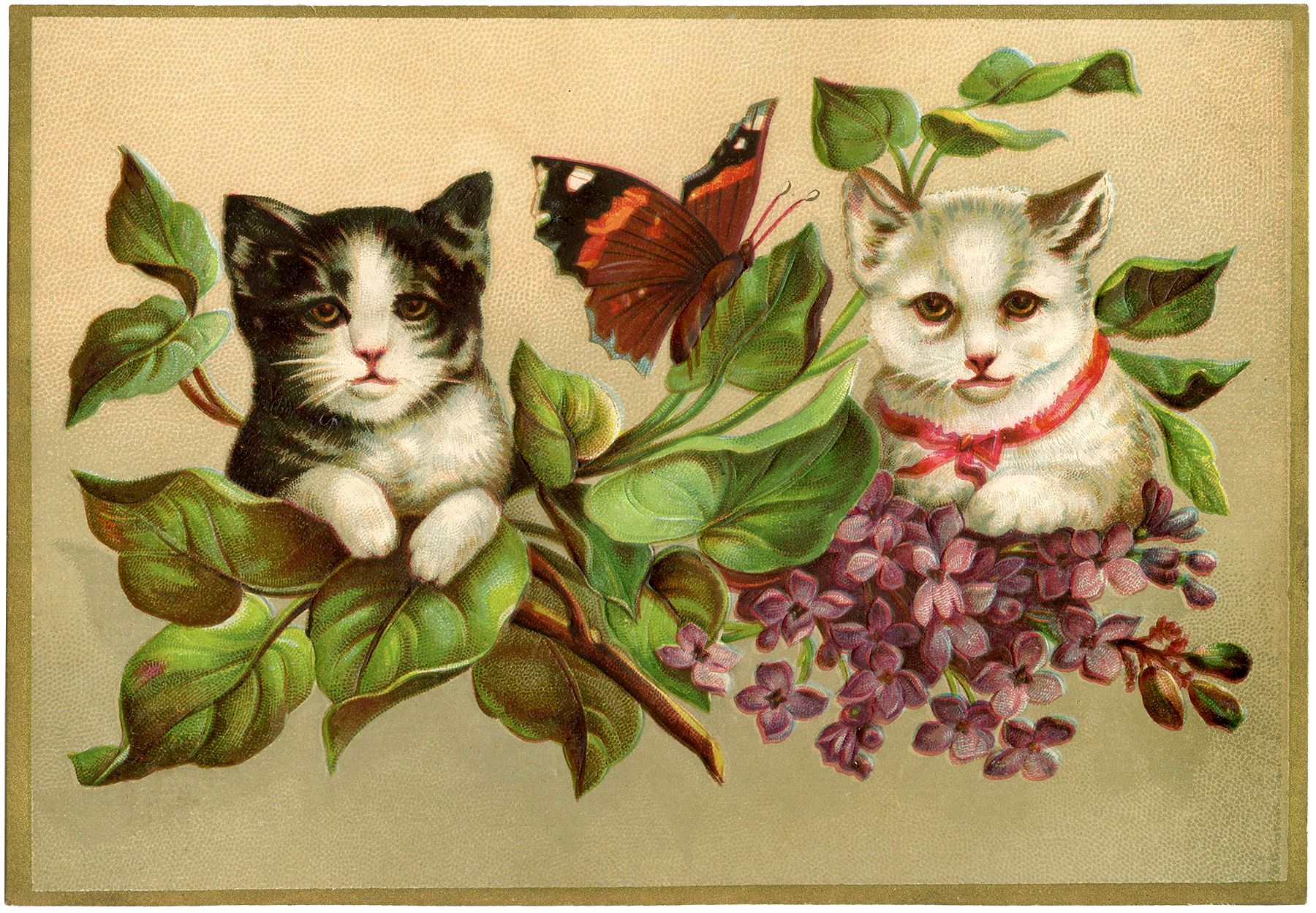 Котенок открытка