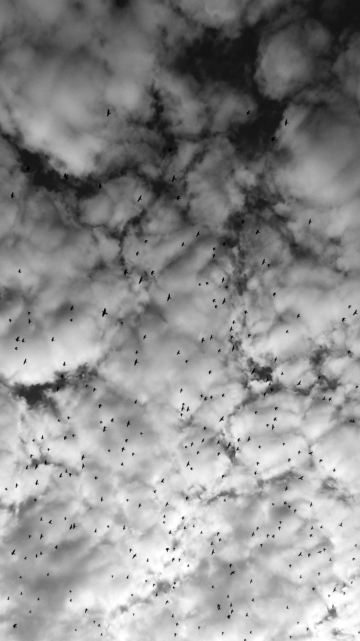 Black Clouds Wallpapers - 4k, HD Black Clouds Backgrounds on WallpaperBat