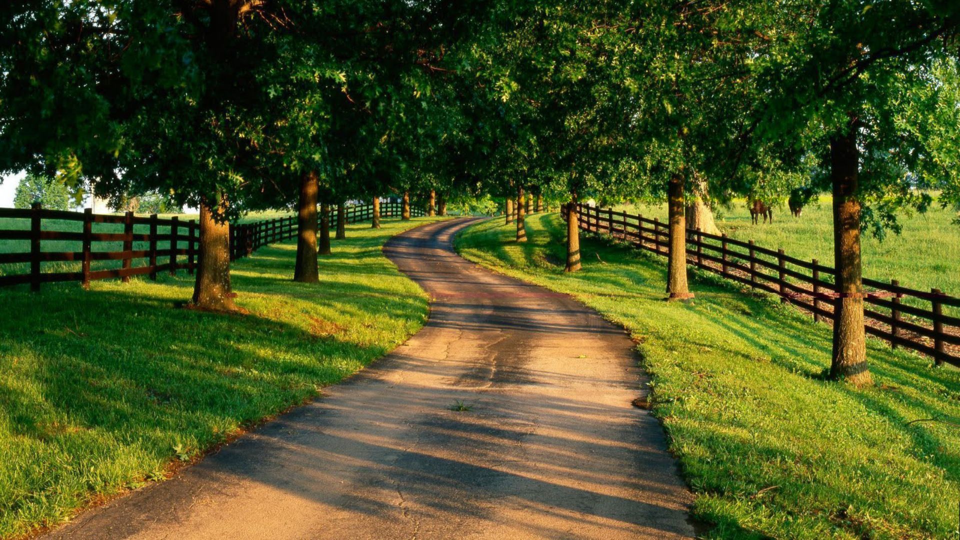 Country Road Wallpapers.