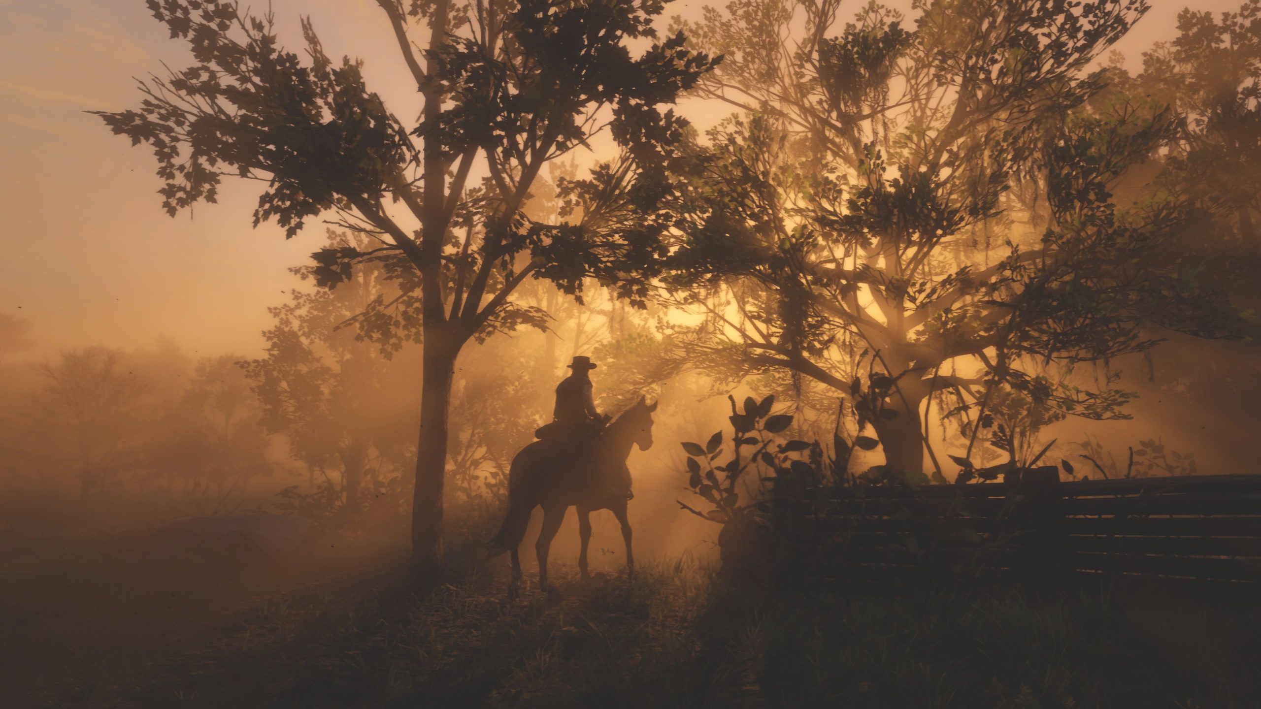 Red Dead Redemption 2 wallpaper 02 1080p Horizontal