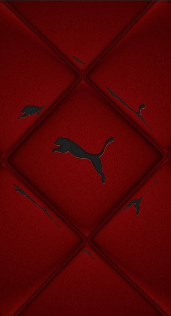 red puma wallpaper