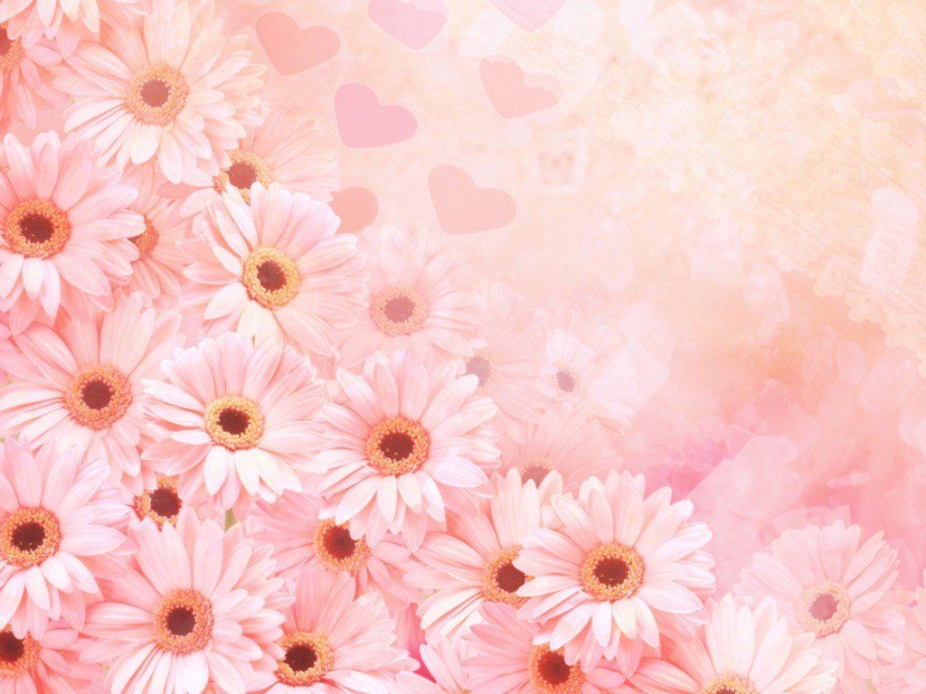 Cute Pink Flower Wallpapers 4k Hd Cute Pink Flower Backgrounds On Wallpaperbat