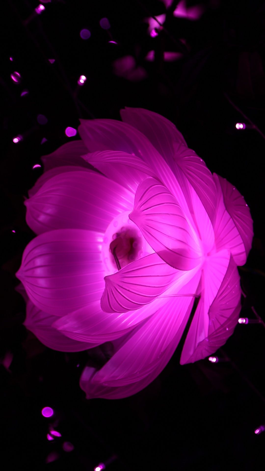 Dark Pink Flower Wallpapers - 4k, HD Dark Pink Flower Backgrounds on