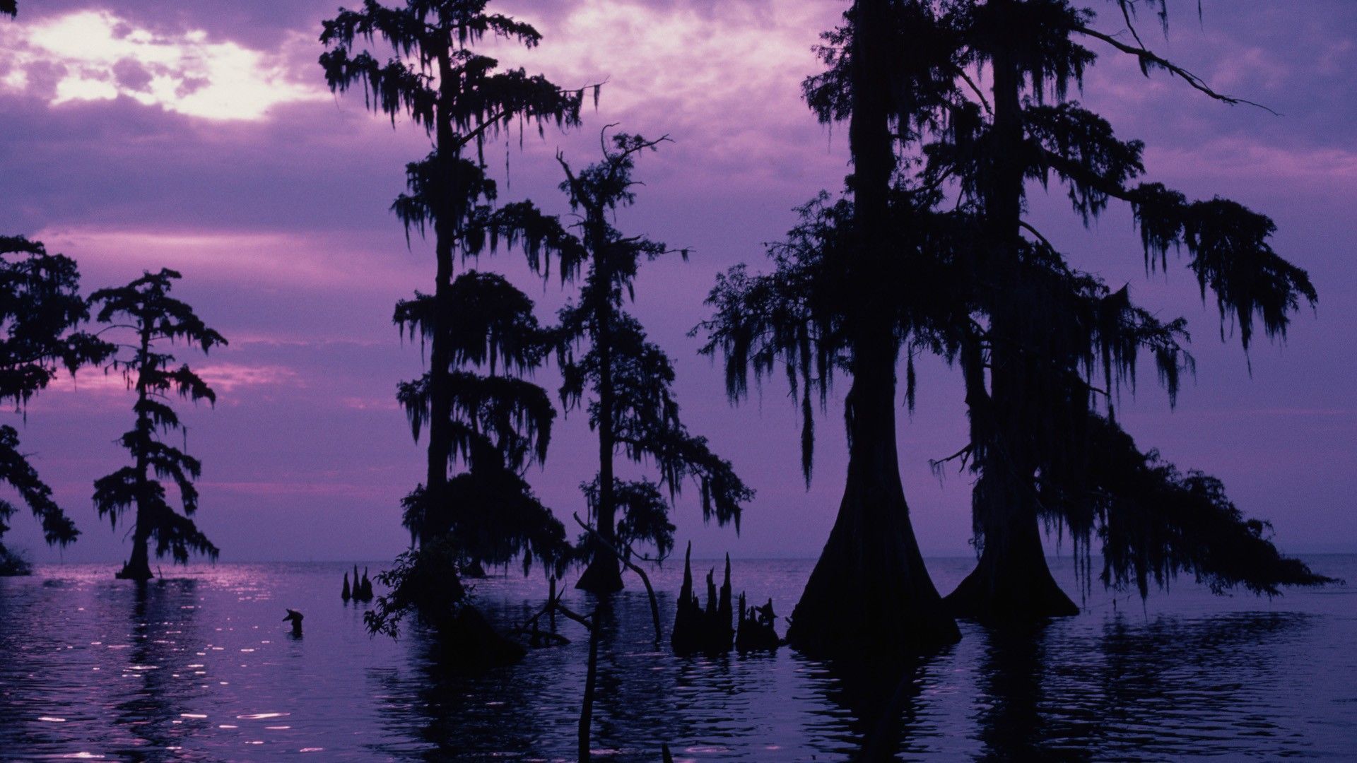 Bayou Sunset Wallpapers - 4k, HD Bayou Sunset Backgrounds on WallpaperBat