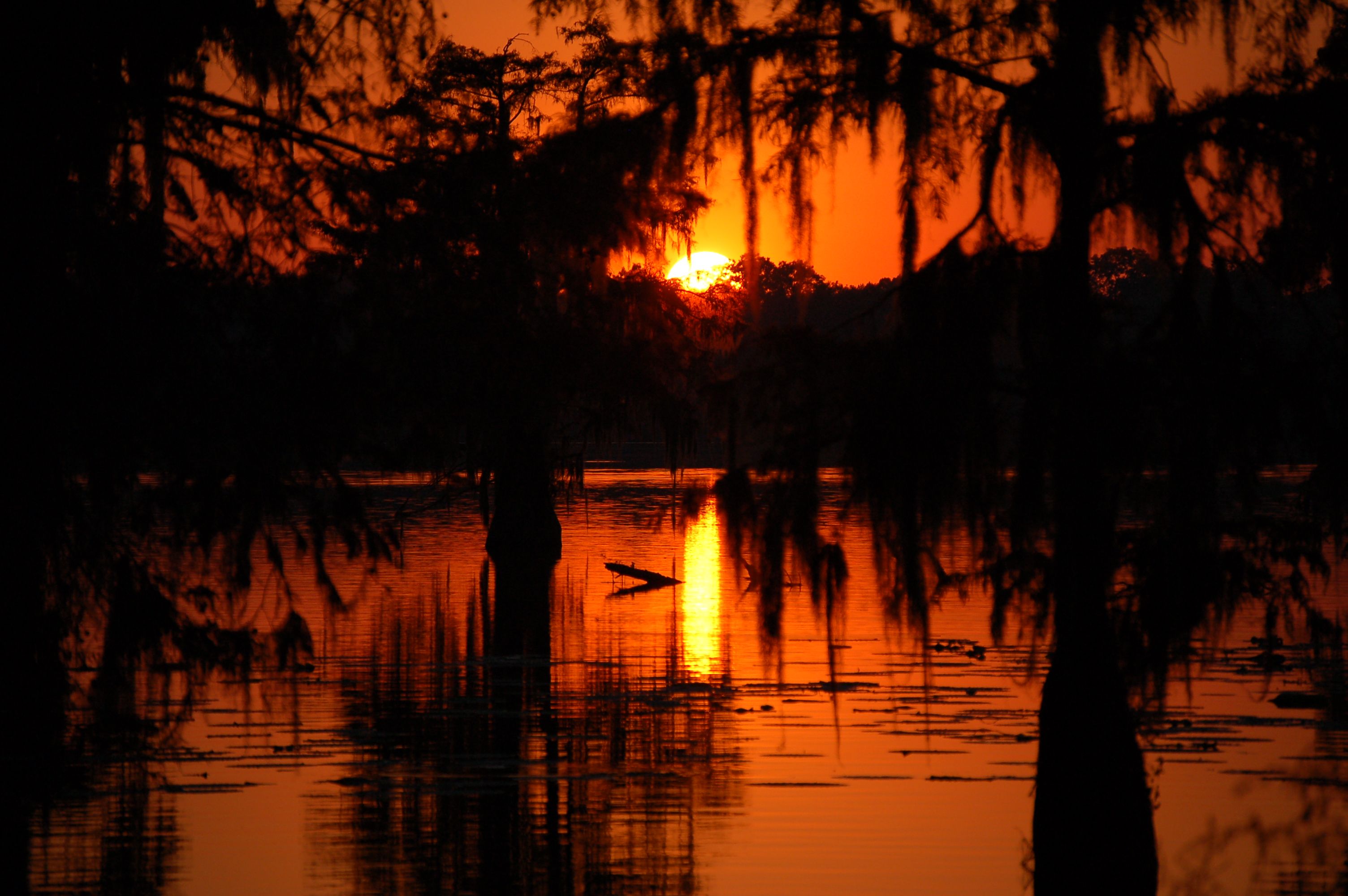 Bayou Sunset Wallpapers - 4k, HD Bayou Sunset Backgrounds on WallpaperBat