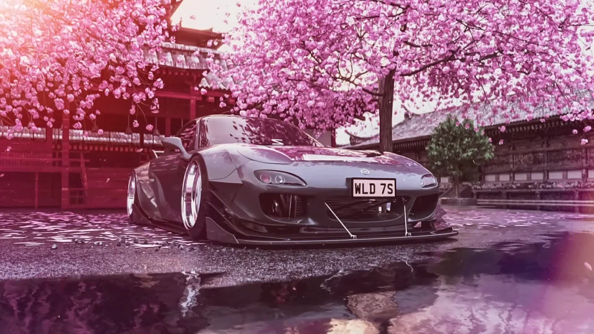 Cherry Blossom JDM Wallpapers - 4k, HD Cherry Blossom JDM Backgrounds ...