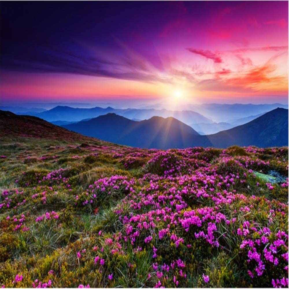 Sunset Flowers Wallpapers - 4k, HD Sunset Flowers Backgrounds on ...