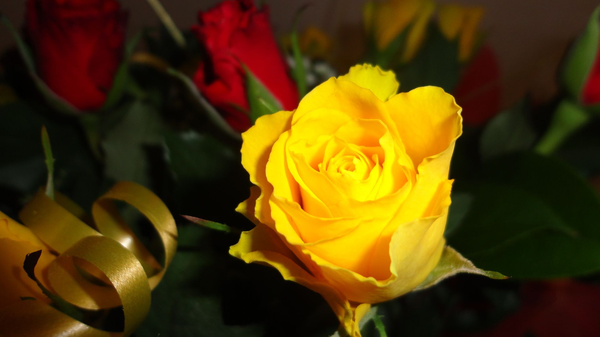1920x1080 Free download Beautiful Yellow Rose Flowers Wallpaper Yellow roses [1920x1080] for your Desktop, Mobile & Tablet. Explore The Yellow Wallpaper Wiki. The Yellow Wallpaper Symbolism, Yellow Wallpaper Full Text on WallpaperBat