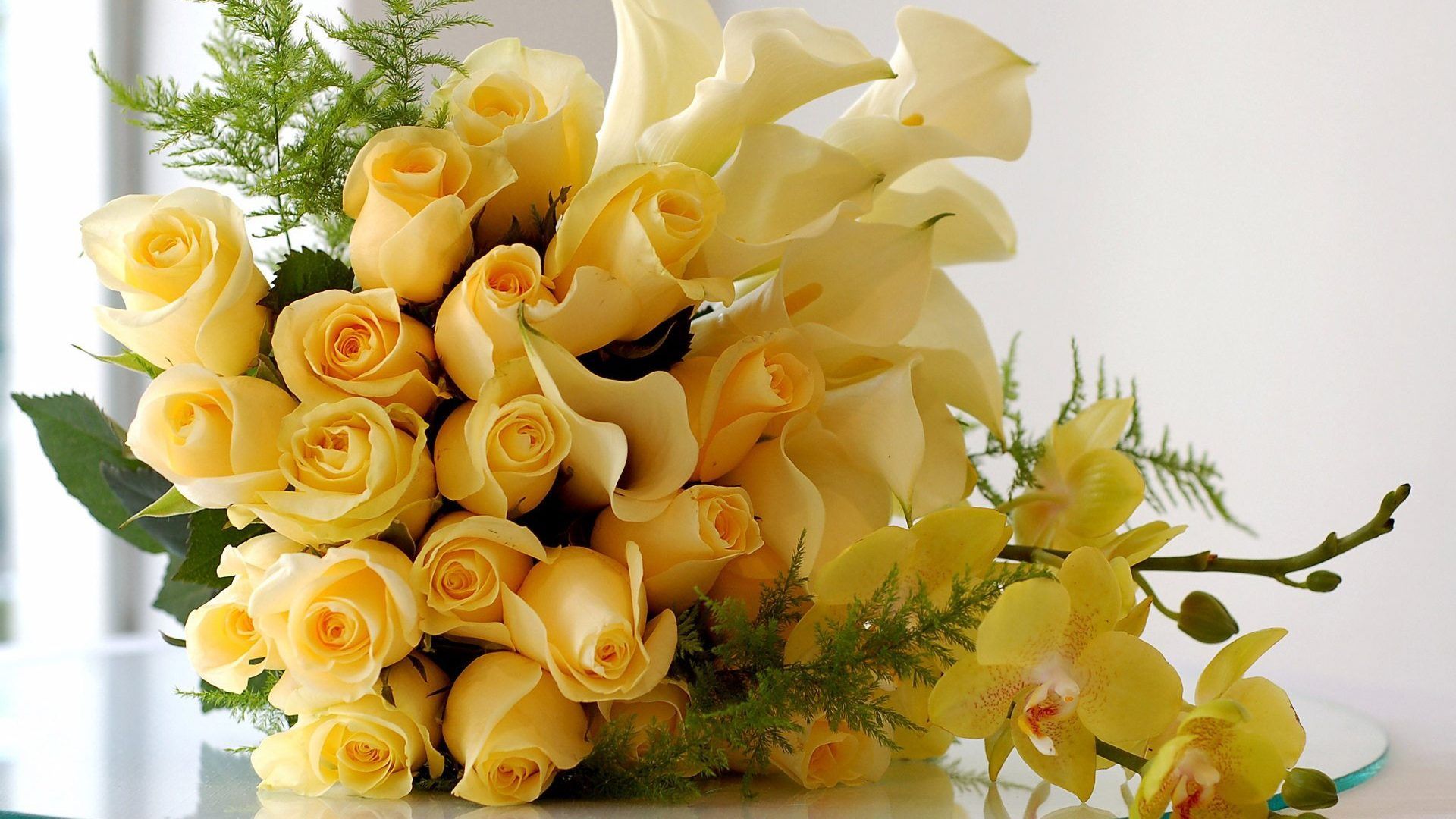 Beautiful Yellow Rose Flowers Wallpapers 4k Hd Beautiful Yellow Rose