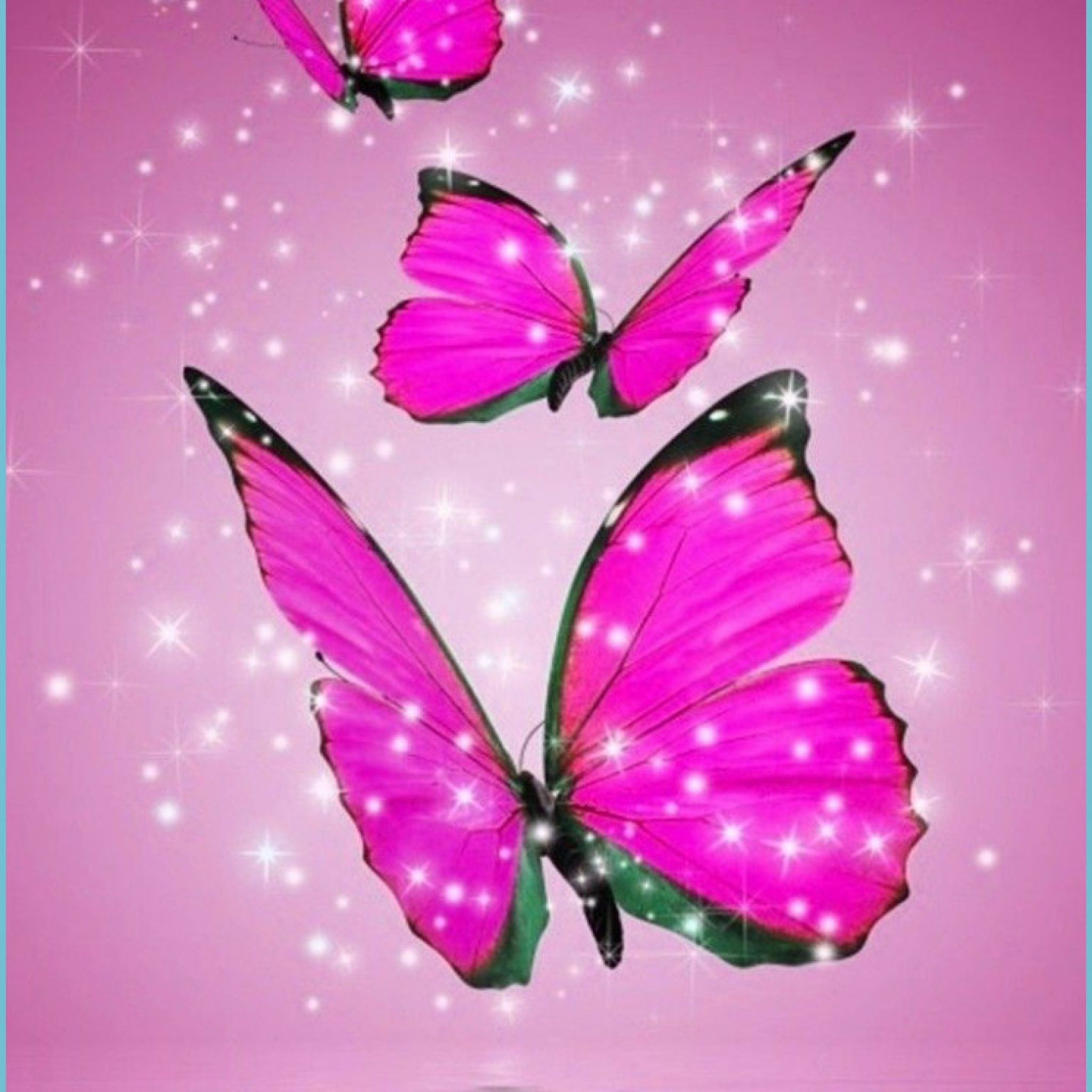 Butterflies Wallpapers - 4k, HD Butterflies Backgrounds on WallpaperBat