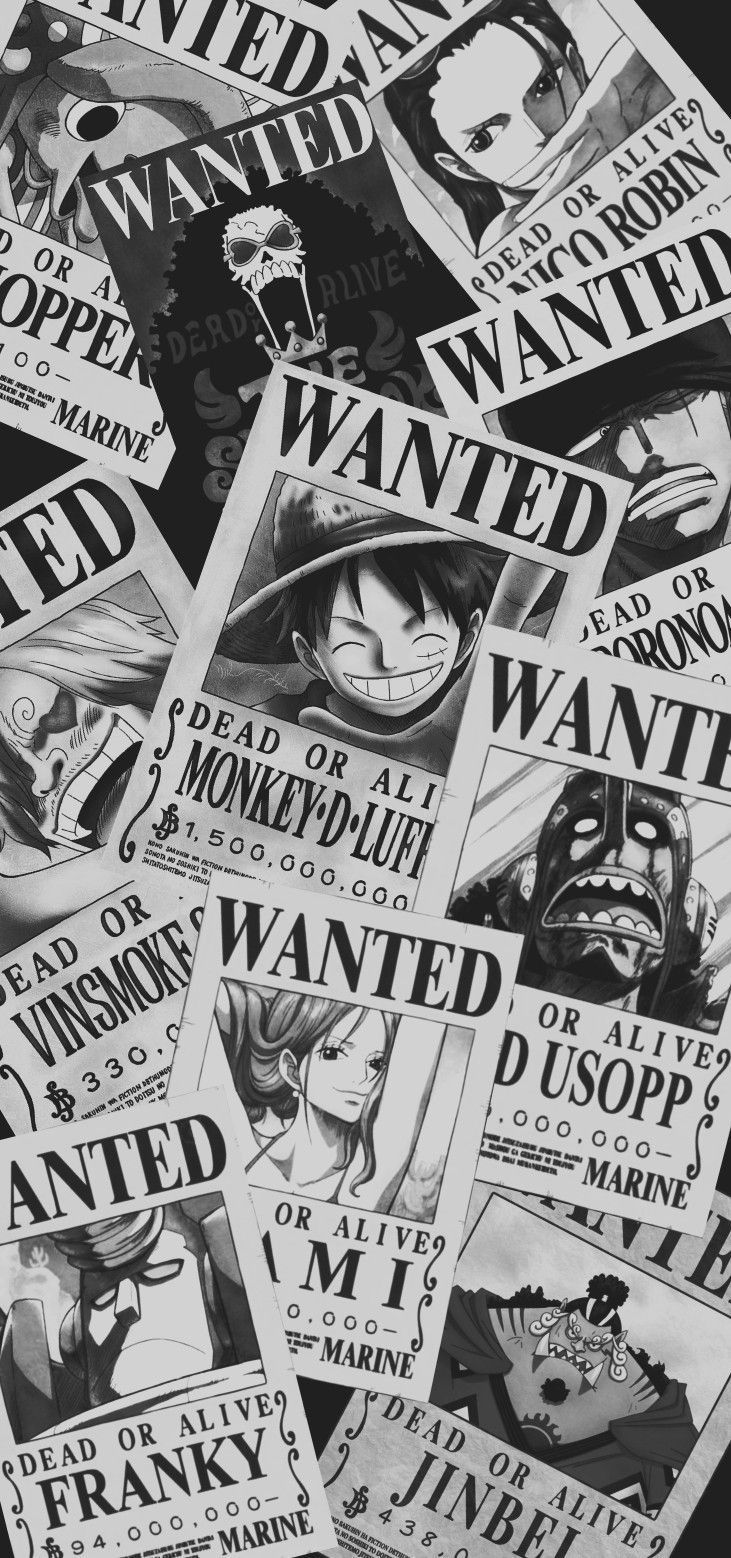 One Piece Wanted Wallpapers - 4k, HD One Piece Wanted Backgrounds on ...