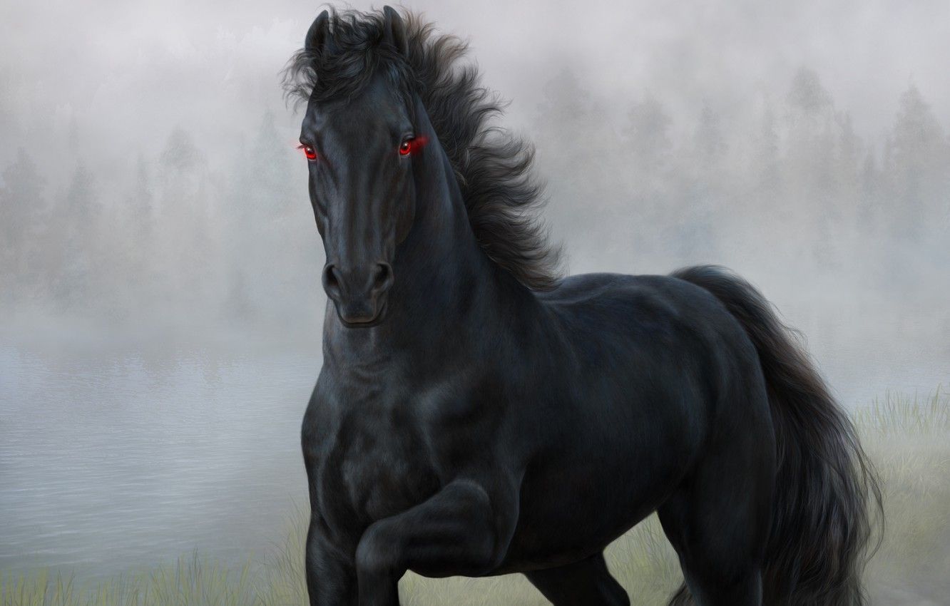 Black Horse Wallpapers - 4k, HD Black Horse Backgrounds on WallpaperBat